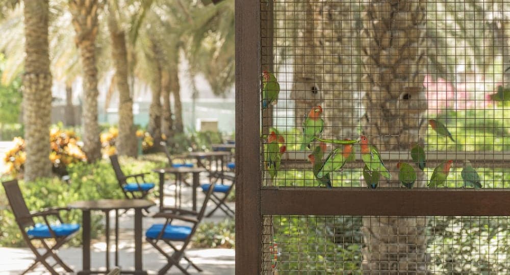 Coral Beach Resort — պատկեր 24