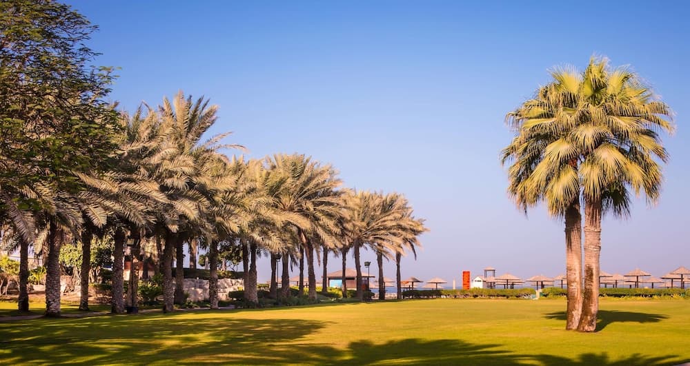 Coral Beach Resort — պատկեր 27